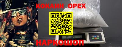 сатива Гай