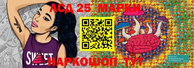 спайс Гатчина