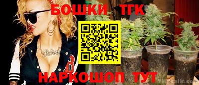 сатива Гай