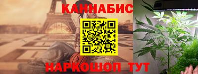 сатива Гай