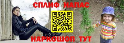 сатива Гай