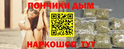 сатива Гай