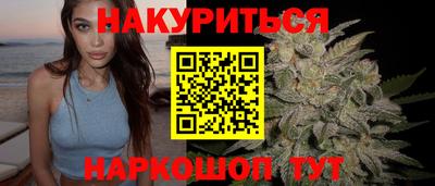 сатива Гай