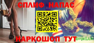 сатива Гай