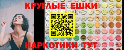 сатива Гай