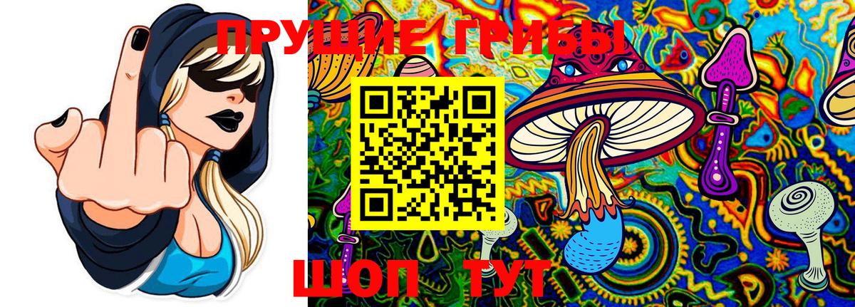Минусинск  Псилоцибиновые грибы Psilocybine cubensis  закладка  Вход с VPN 