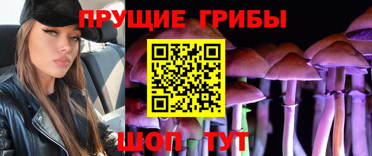 Псилоцибиновые грибы Psilocybine cubensis Минусинск