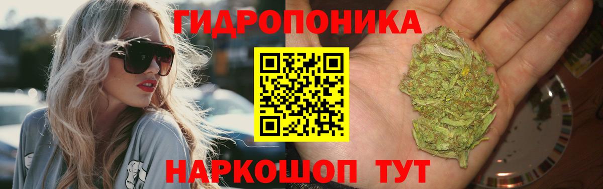 Конопля SATIVA & INDICA  Бошки Шишки Ganja  Вход с VPN  Минусинск 